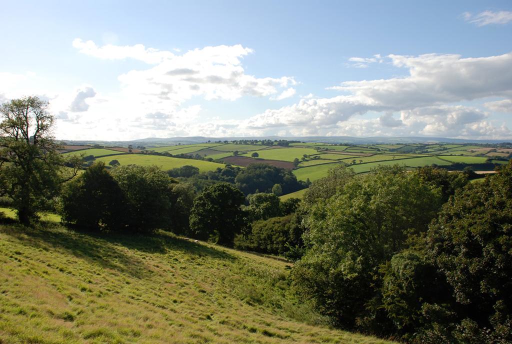 Kerswell Totnes